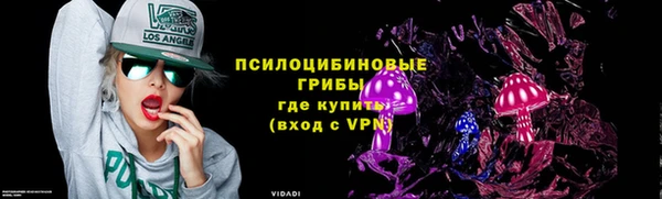 дурь Алексеевка