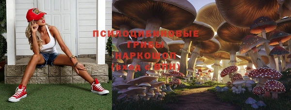 ECSTASY Алексин
