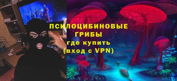 ECSTASY Алексин