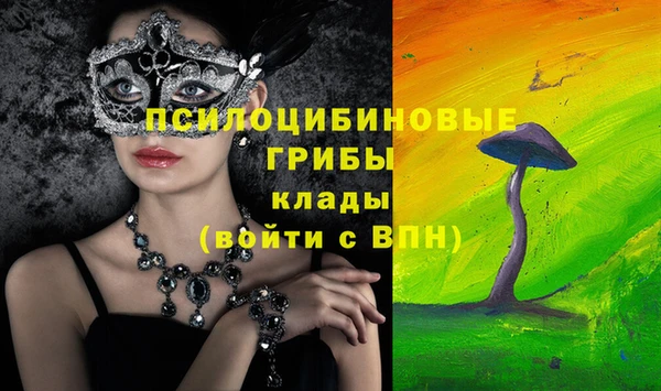дурь Алексеевка